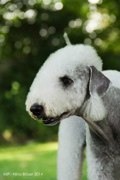 2014-06-06 Cherry & Quincy-8749.jpg